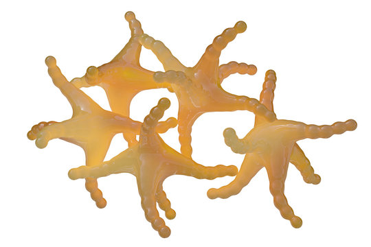 Histamin - isoliert - 3D Render