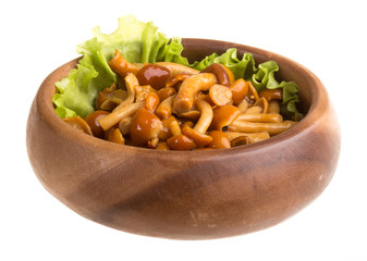 agaric honey at plate