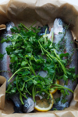 Preparation trouts for baking with parsley and lemon