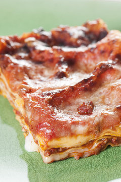 lasagne