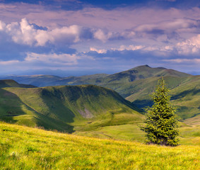 Colorful summer landscape in the Carpathian mountains. Ukraine