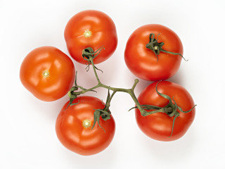 Close-up photo of tomatoes on the white background