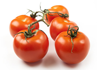 Close-up photo of tomatoes on the white background