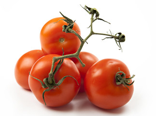 Close-up photo of tomatoes on the white background