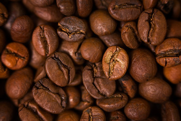 Coffee bean on wooden background