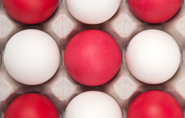 eggs