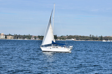 Obraz premium Sailing Boat