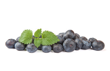 Blaubeeren mit Blatt Freisteller II