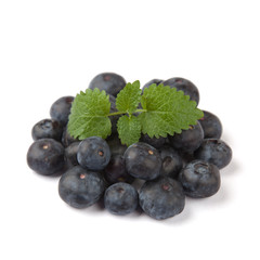 Blaubeeren mit Blatt Freisteller V