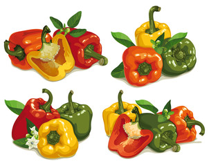 set of multi colored pepper