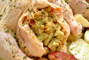 Close-Up of Stuffing in a raw Chicken