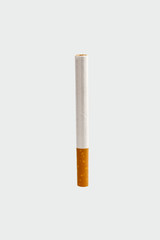 Cigar on a white background