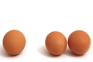 eggs on white background