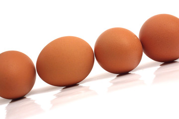 eggs on white background