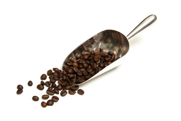 Scoop of Coffee