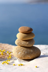 Yellow Pebbles with Mimosa