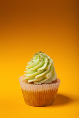 cupcake with cream isolated on orange background with copyspace