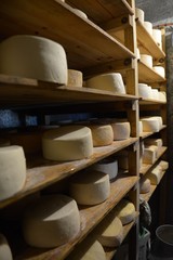 Argentine tasty cheese