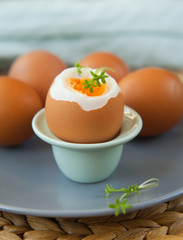 egg soft-boiled boiled