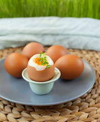 egg soft-boiled boiled