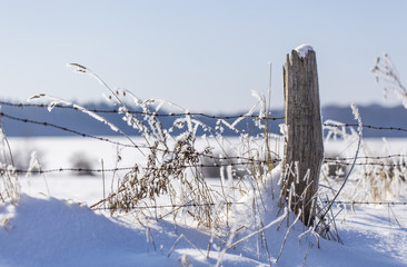 Frostiger Winterzaun