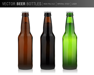vector beer bottle