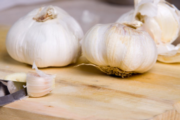 garlic