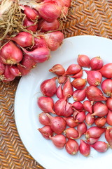 Shallot - asia red onion