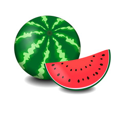 Watermelon and slice isolated on white, vector illustration