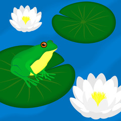 Fototapeta premium Green frog sits on a leaf in a pond, vector illustration