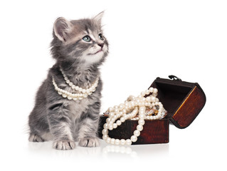 Kitten with pearl