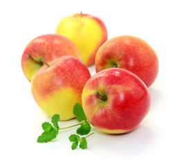 Apfelernte