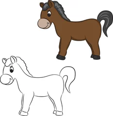  Cartoon paard - vectorillustratie. © ARNICA