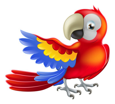 Red macaw parrot illustration