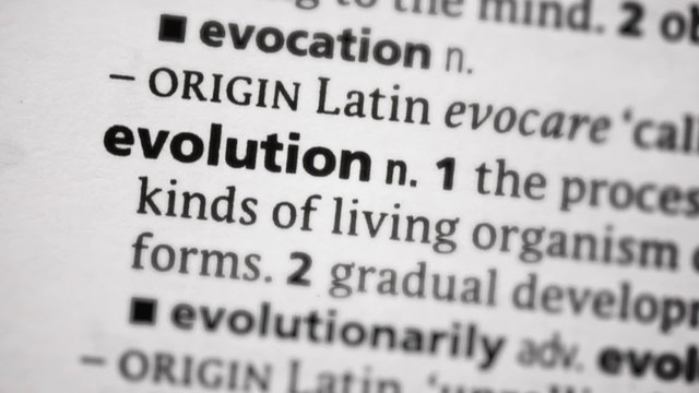 Focus on evolution