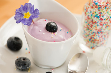 Heidelbeer Dessert