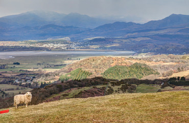 Views around Snowdonia