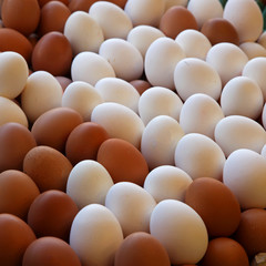 Raw chicken eggs