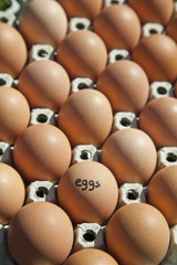 eggs © domi.no