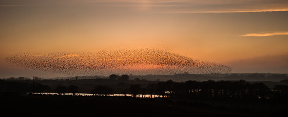 Obraz premium Durdle Dor 