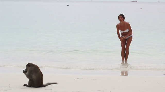 Macaque Monkey Plays With Girl At The Beach