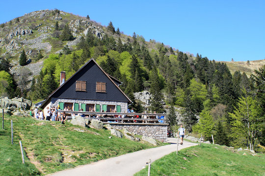 Paysages de la vall&eacute;e de Munster
