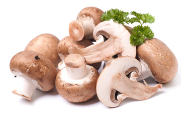 Fresh champignons
