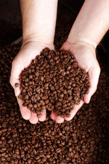 mann zeigt kaffeebohnen mit beiden h&auml;nden