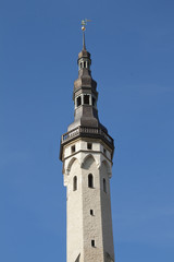 Fototapeta na wymiar Spire of Tallinn town hall, Estonia