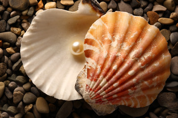 White pearl in seashell on pebbles
