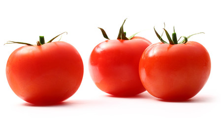 Tomatoes on the white background