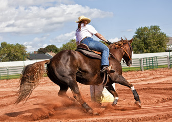 Barrel Racer