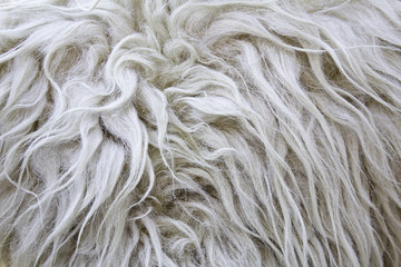 Wool Skin