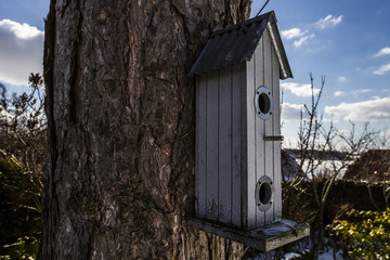 Birdhouse on tree